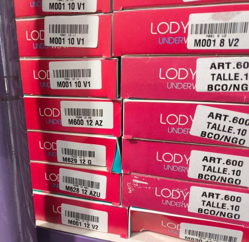 Boxer Lody Kids