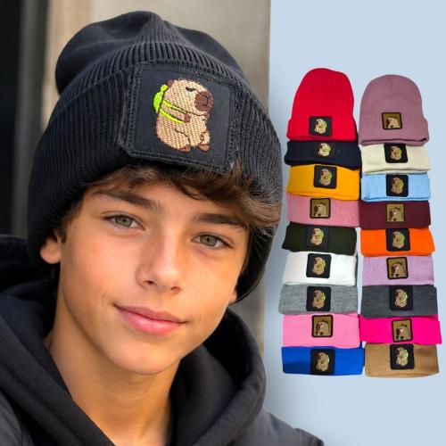 Gorro Rocky de Lana Capibara Juvenil Niño, Invierno, Accesorios de Moda