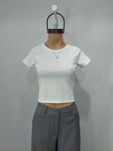 C506 Rem Basic Corta