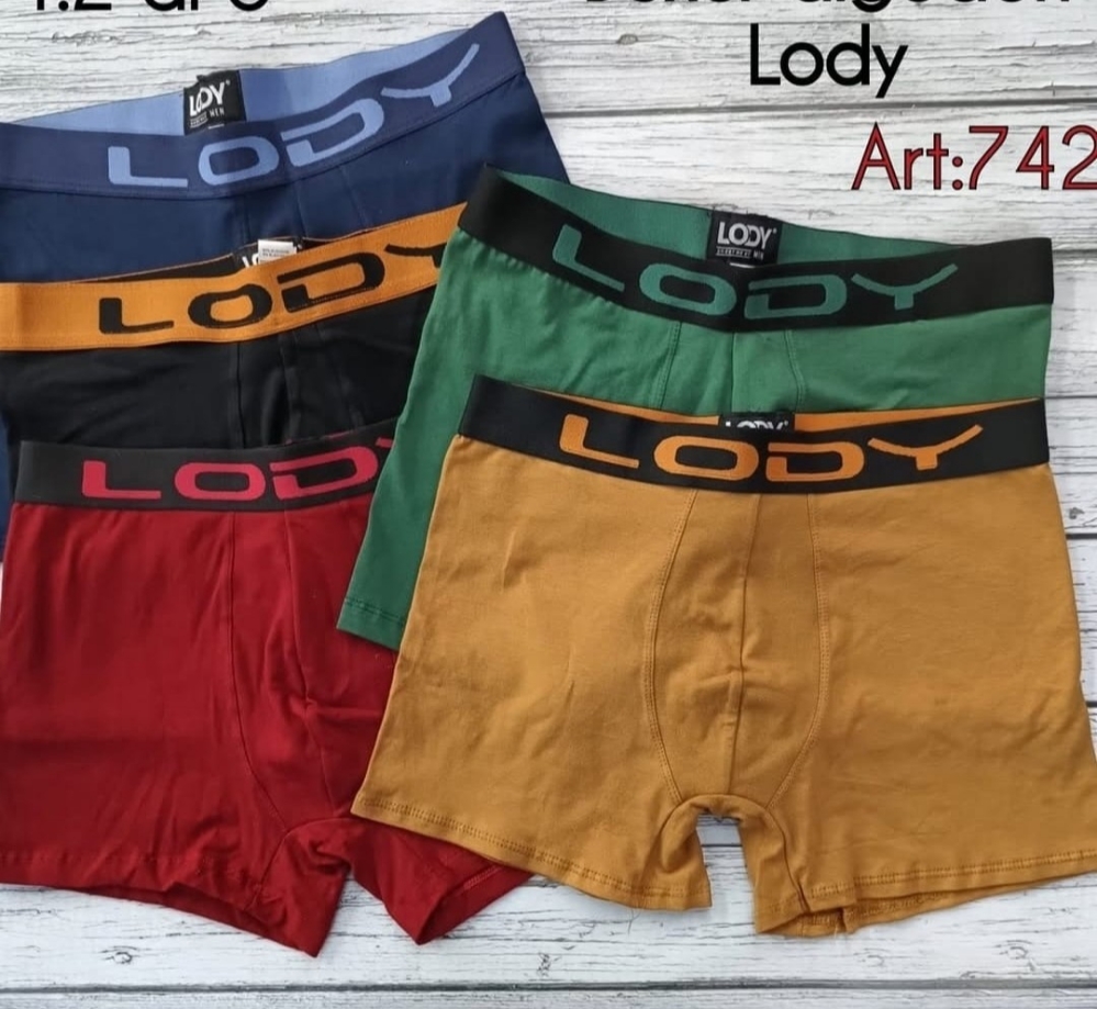 Boxer Lody Liso Original - Imagen 2