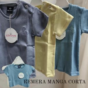 Remera Manga Corta