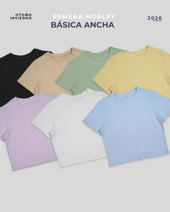 Remera Liso