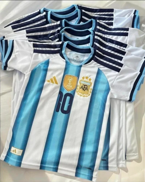 Camiseta Argentina W15 Bordadas(c)