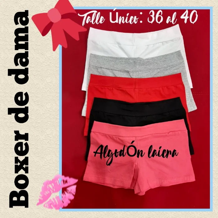 Boxer de Dama