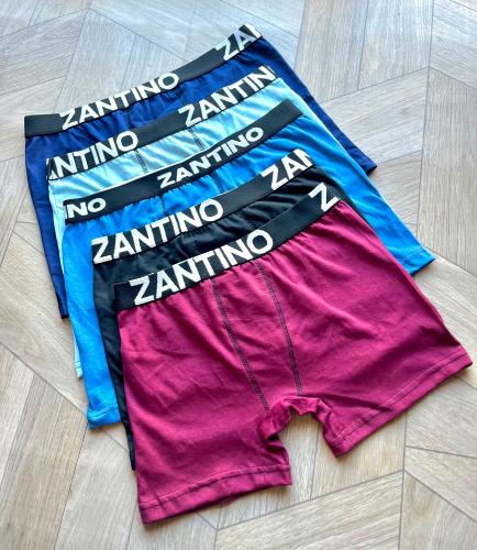 Boxer Zantini sin Caja 2/3/4/5/6