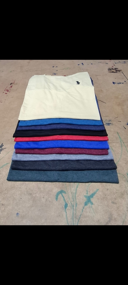 Remera Polo Especial - Imagen 1