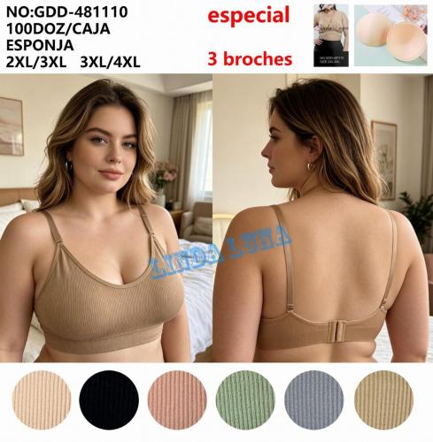 Top Especial Colores