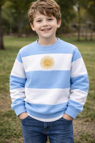 Buzo Sol de Mayo Niños. Bordado.. Friza