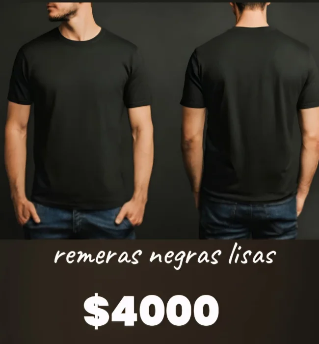 Remera Algodon 24 /1