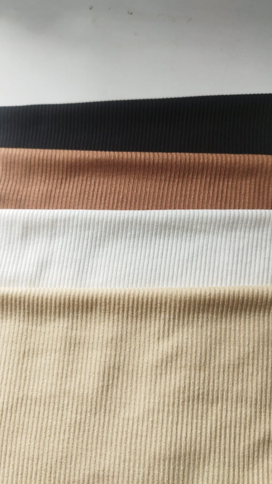 Musculosa - Imagen 2