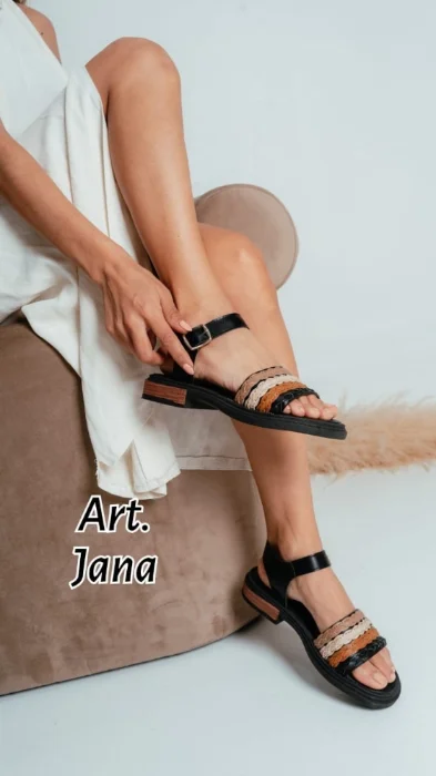 Art Jana