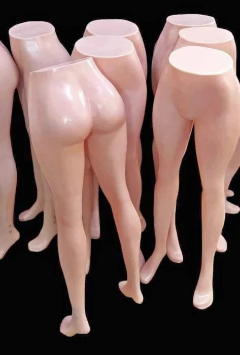 Maniquí Medio Cuerpo Plástico