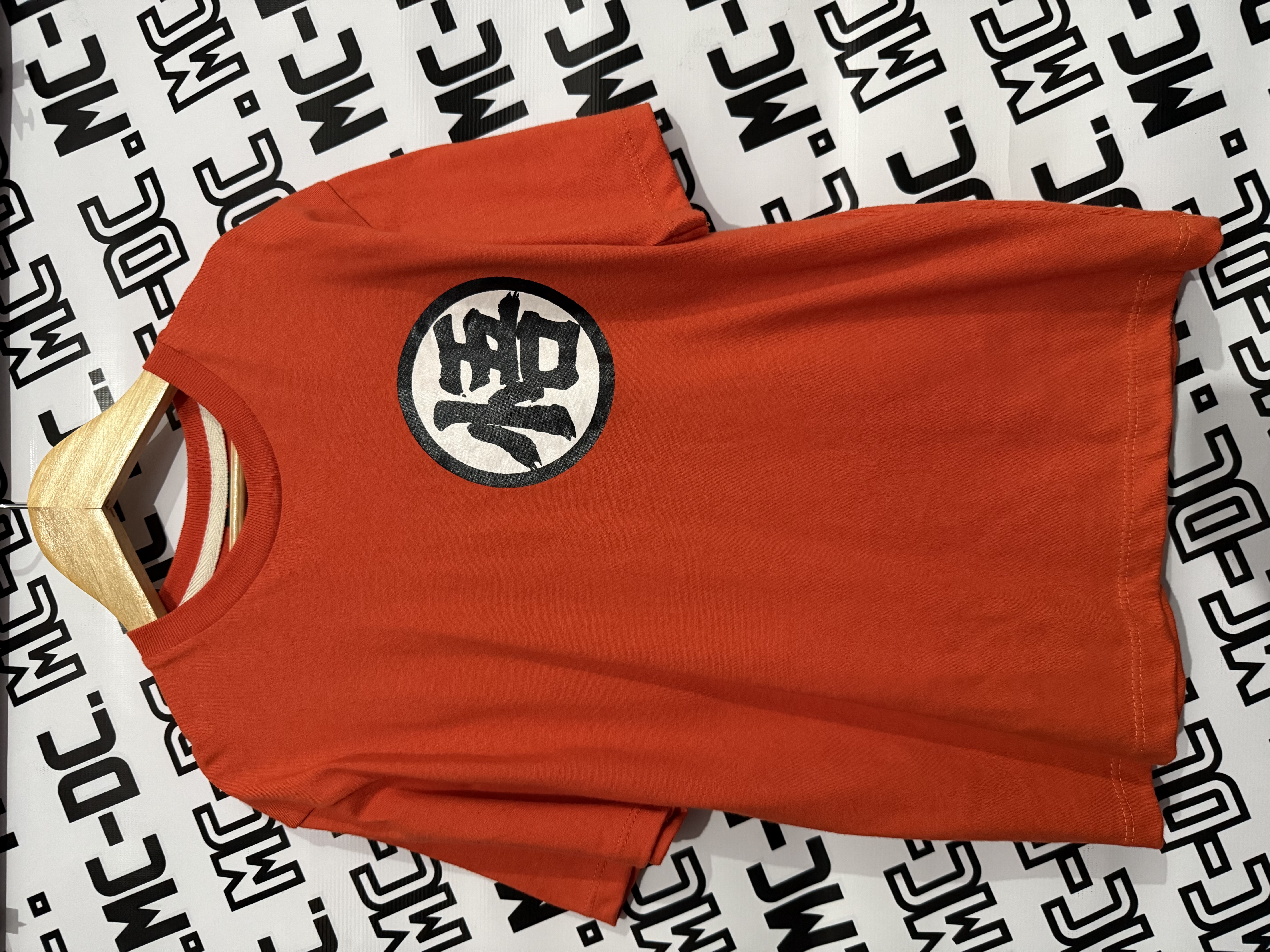 Remera Overcize Logo ( Dragón  Ball) - IMG_0741.jpeg