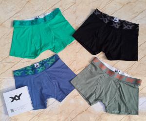 Boxer Xy.  Lisos