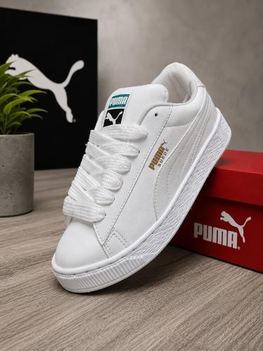 Pumas