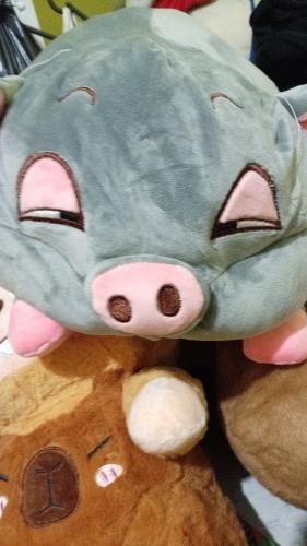 Peluche con Manta - Miniatura 3