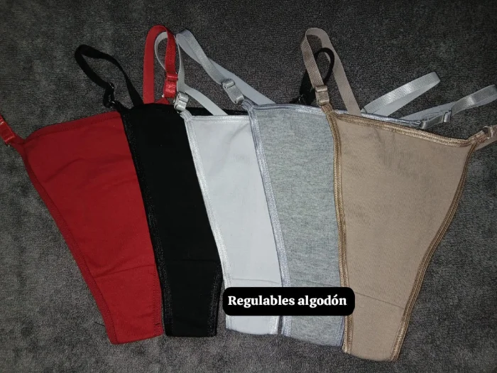 Colaless Regulable Económico