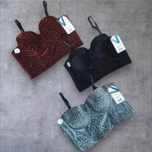 Corset Ap Brillo