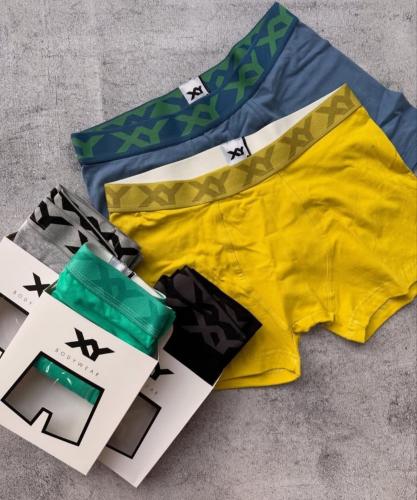 Boxer Xy (lisos)