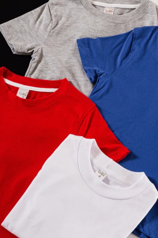 Remera Basic - Imagen 2