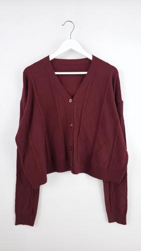 Cardigan Bremer - Miniatura 5