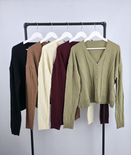 Cardigan Bremer - Miniatura 6
