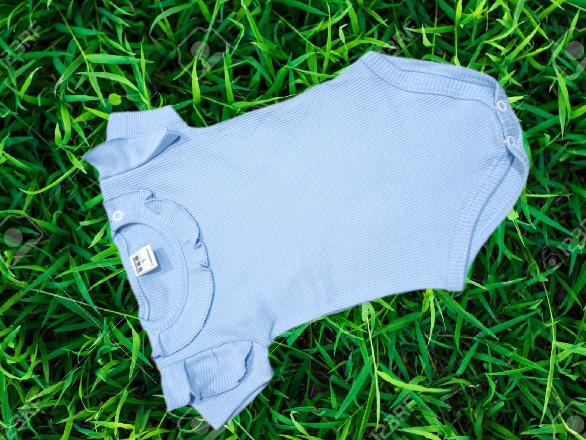 Body Morry - Imagen 3