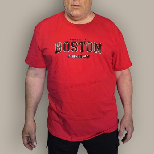 Remeras Especiales