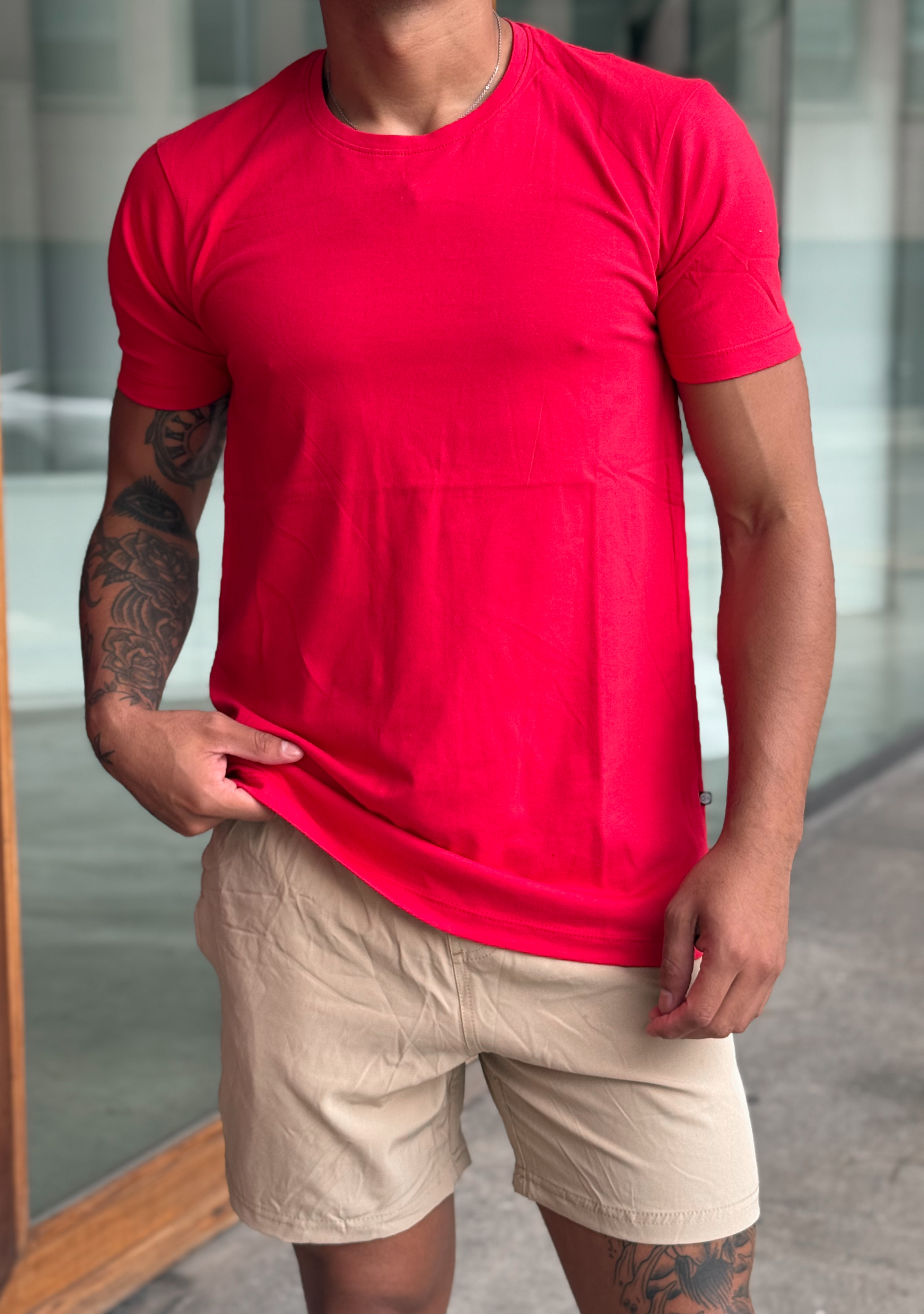 Remera Classic - IMG_0931.jpeg