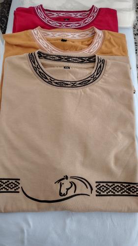 Remera Guardapampa