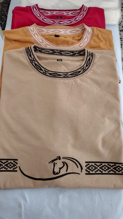 Remera Guardapampa