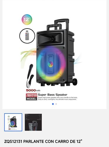 Parlante Bluetooth 12 Pulgada