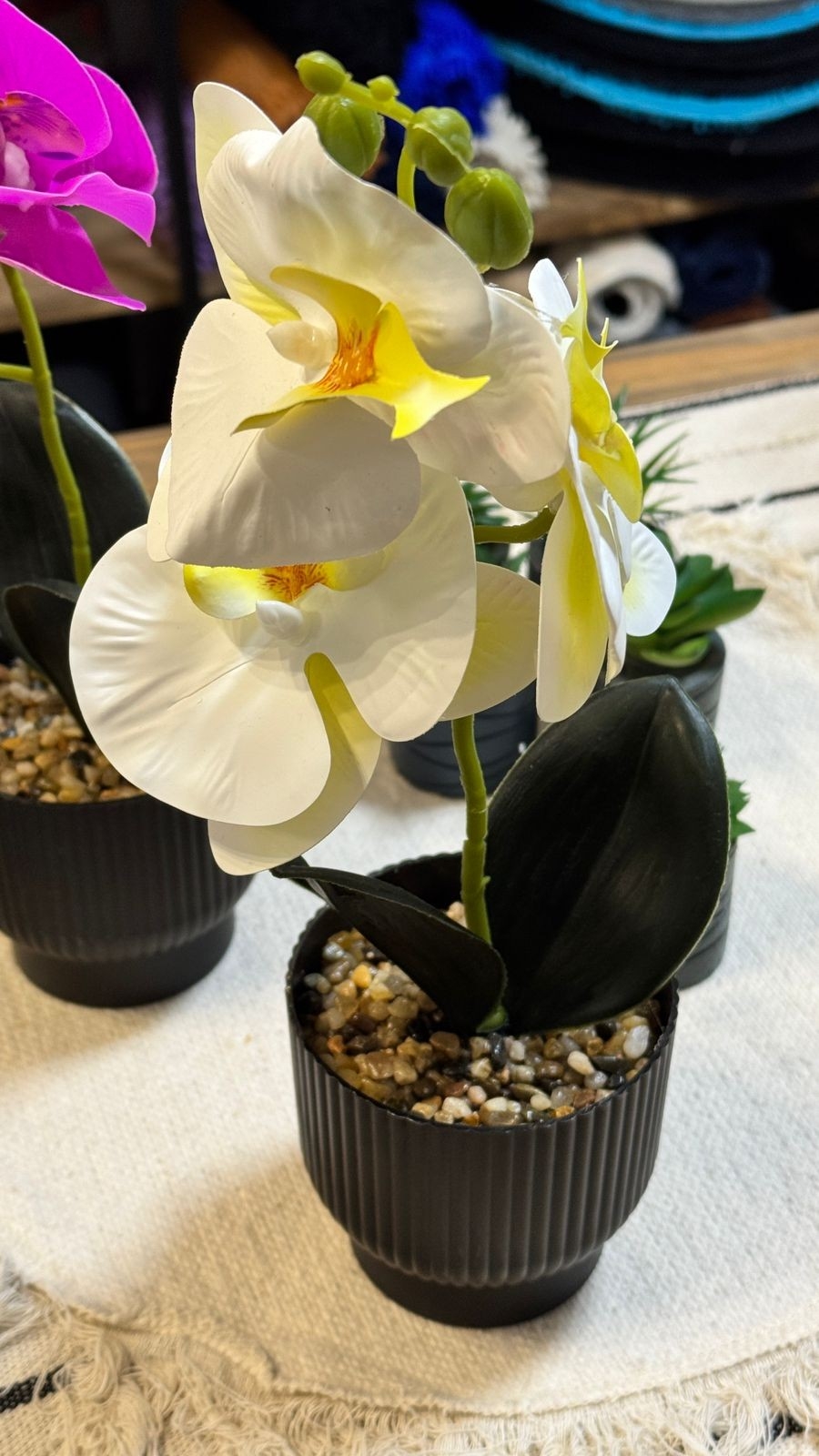 Orquideas - Imagen 2