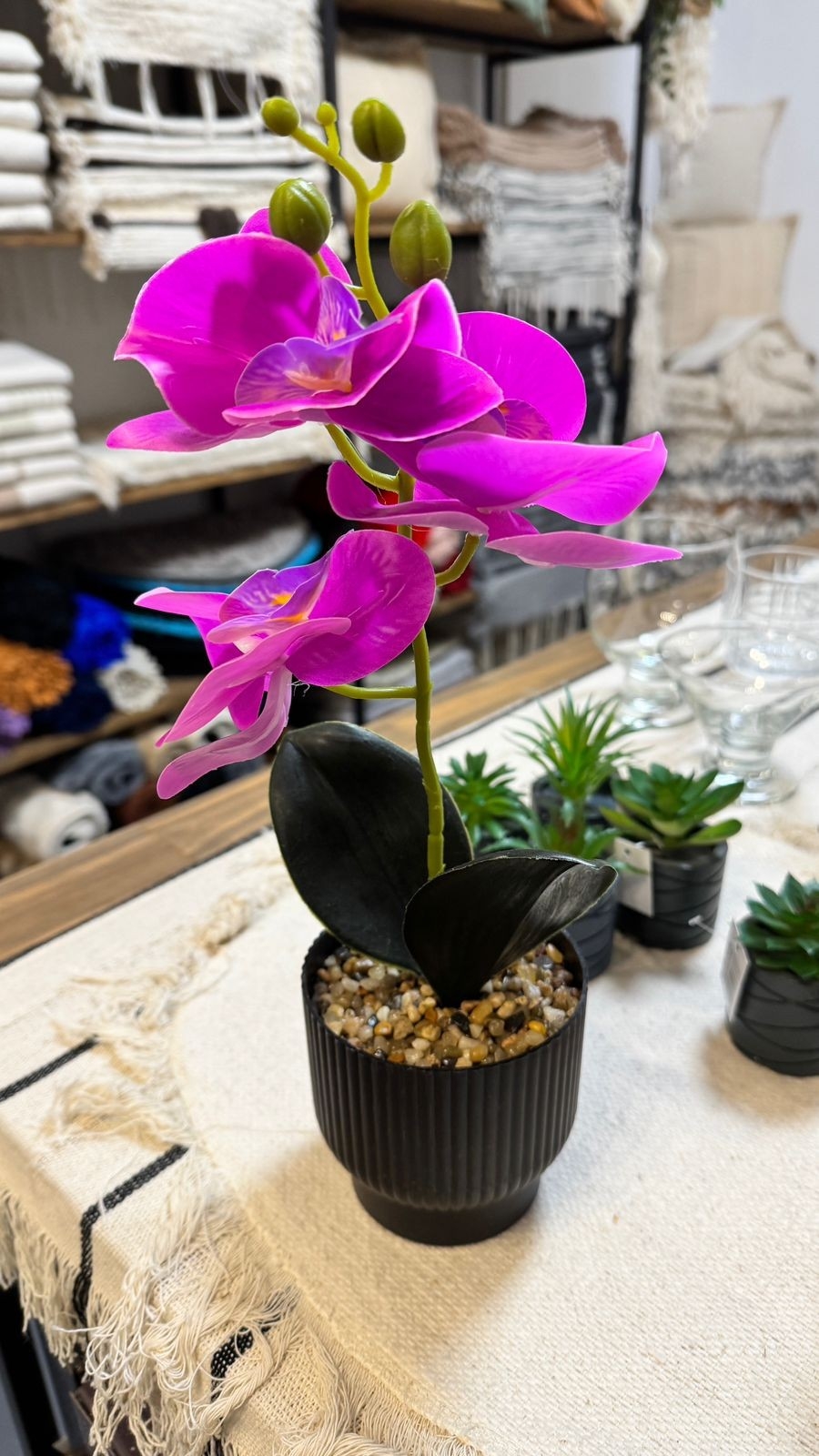 Orquideas - Imagen 3