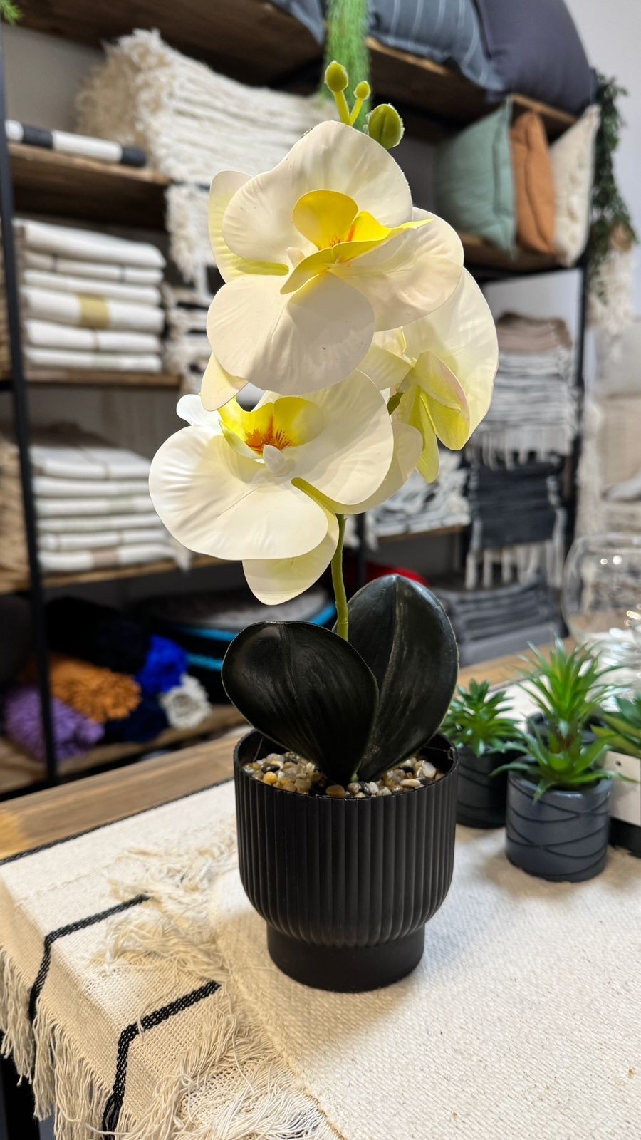 Orquideas - Imagen 4