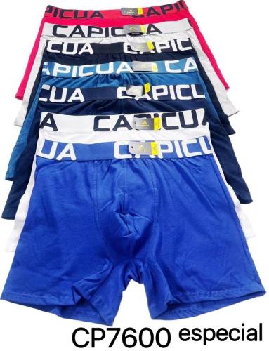 Boxer Especiales