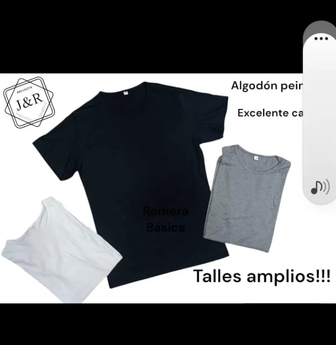 Remera Lisa Hombre
