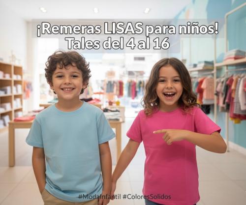 Remera Lisas