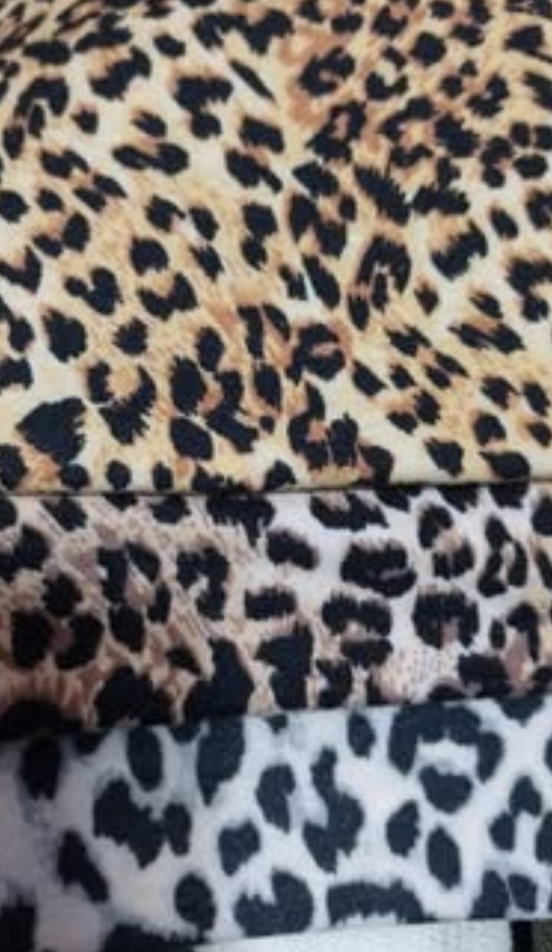 Remera Animal Print - Imagen 2