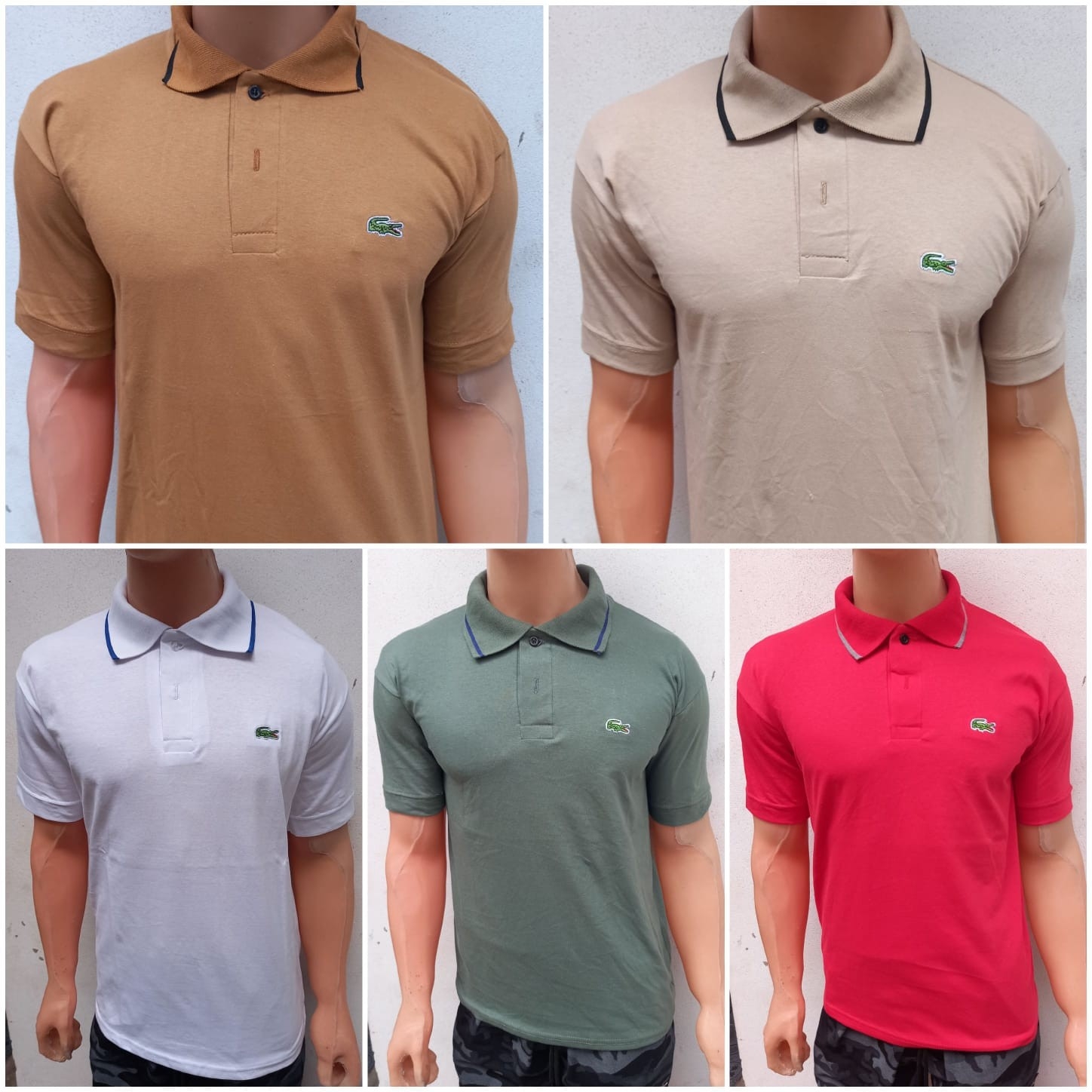 Chomba Lacoste - Imagen 2
