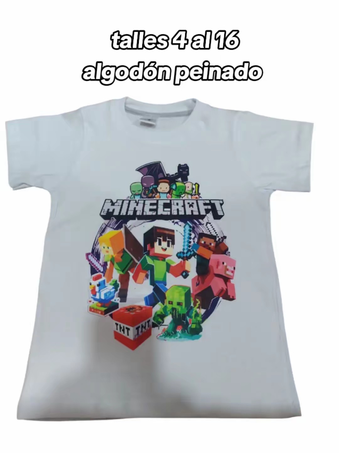 Remeras de Minecraft - Imagen 3