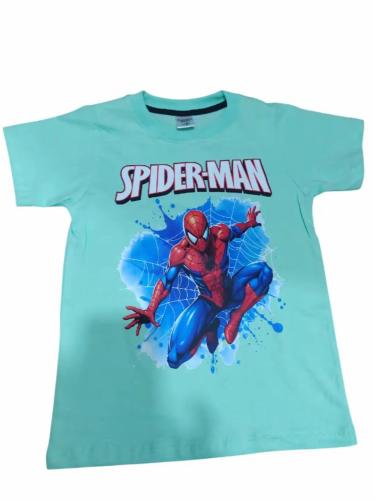 Remeras de Hombre Araña