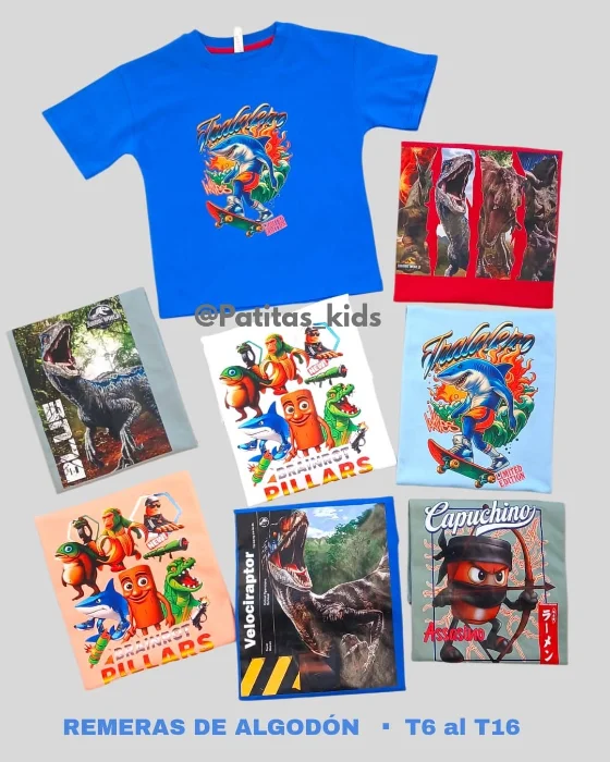 Remeras Algodón Peinado