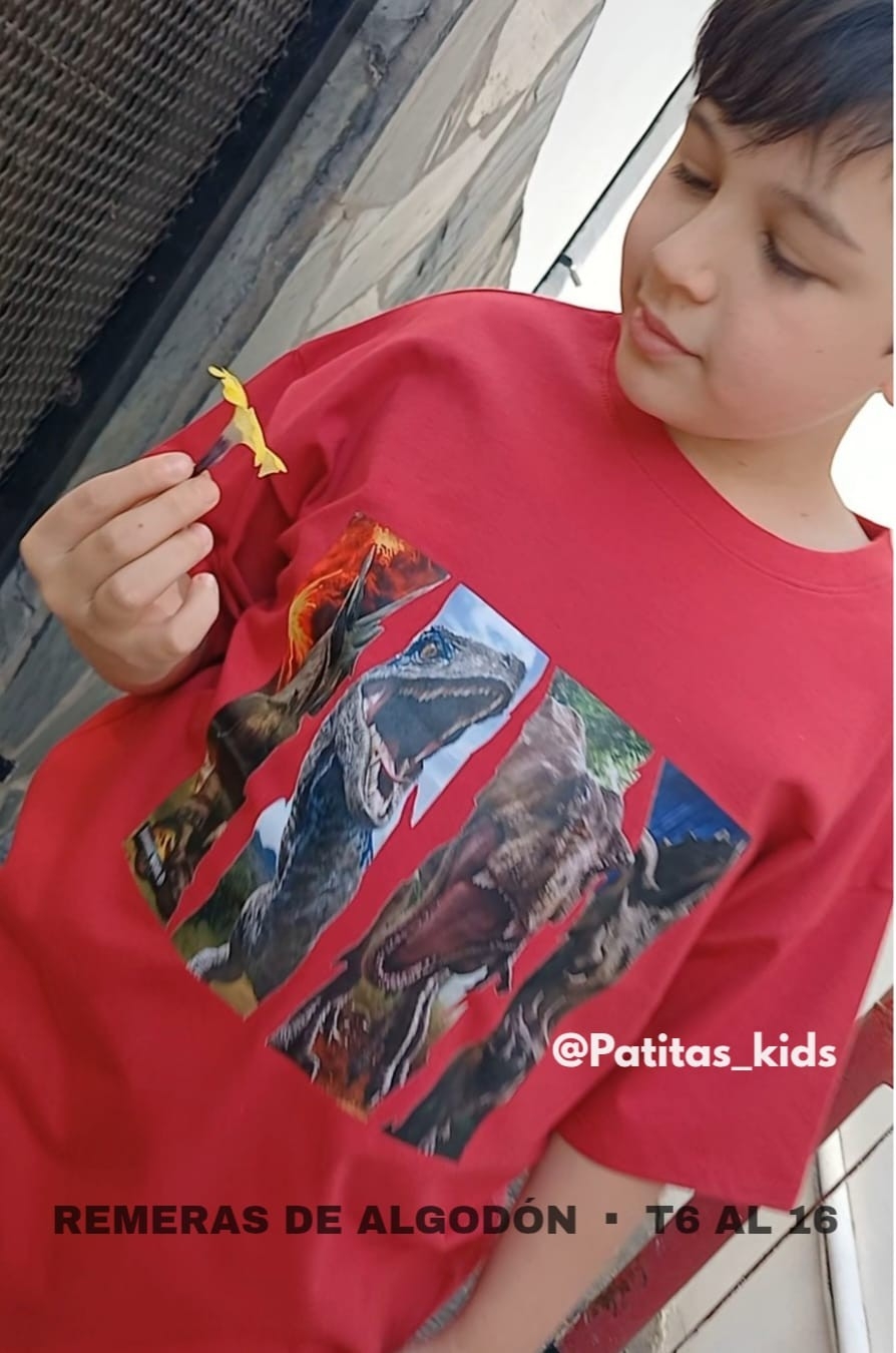 Remeras Algodón Peinado - Imagen 3