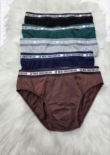 Slip de Hombre Algodón Lycra Peinado Premiun
