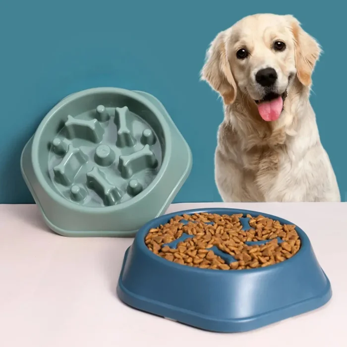 240 Comedero para Perros Come Lento Premium con Huesitos
