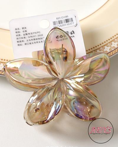 Broches Hawaiana Transparente