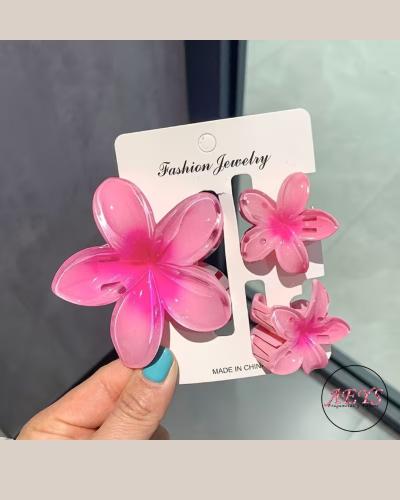 Broches Hawaiana 3 en 1