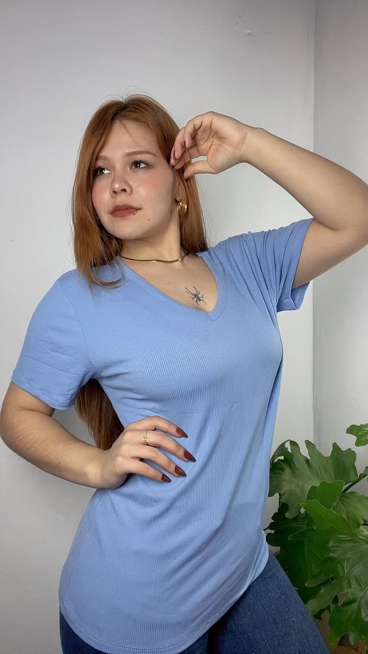 Remera Cuello V Morley Viscosa - Imagen 2