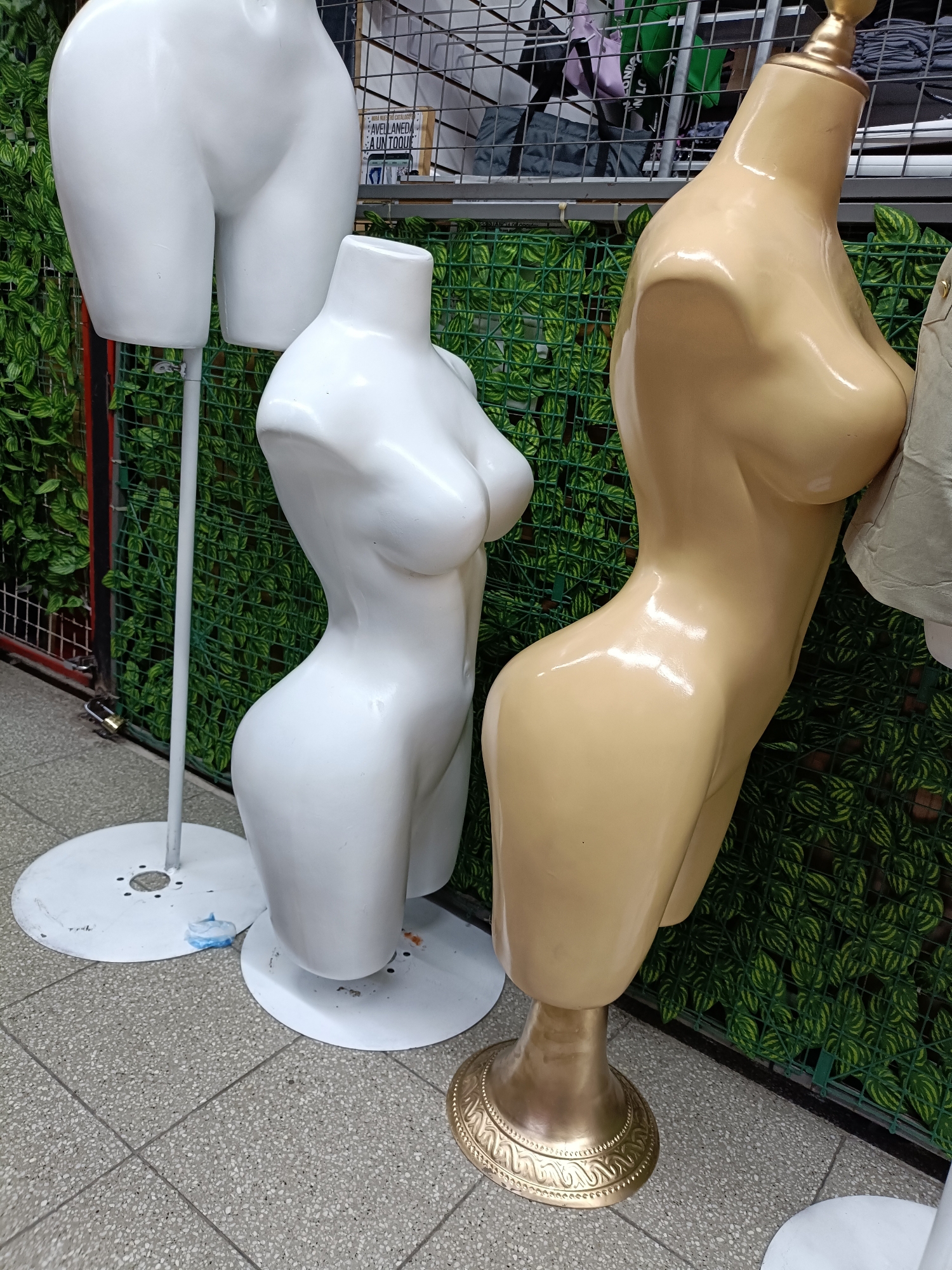 Maniquis Buchonas - Imagen 2